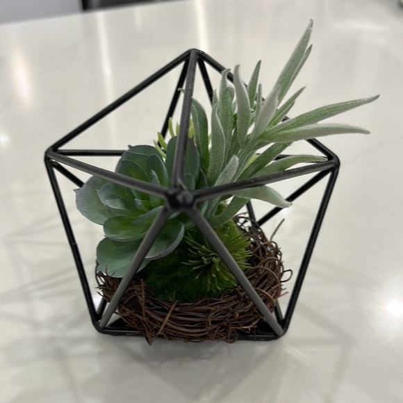 Decorative Faux Succulent in a Nest - Picture 3 of 4